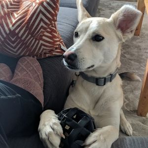 Meet your Posher, Leah